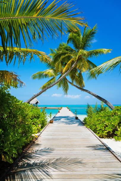 Maldives